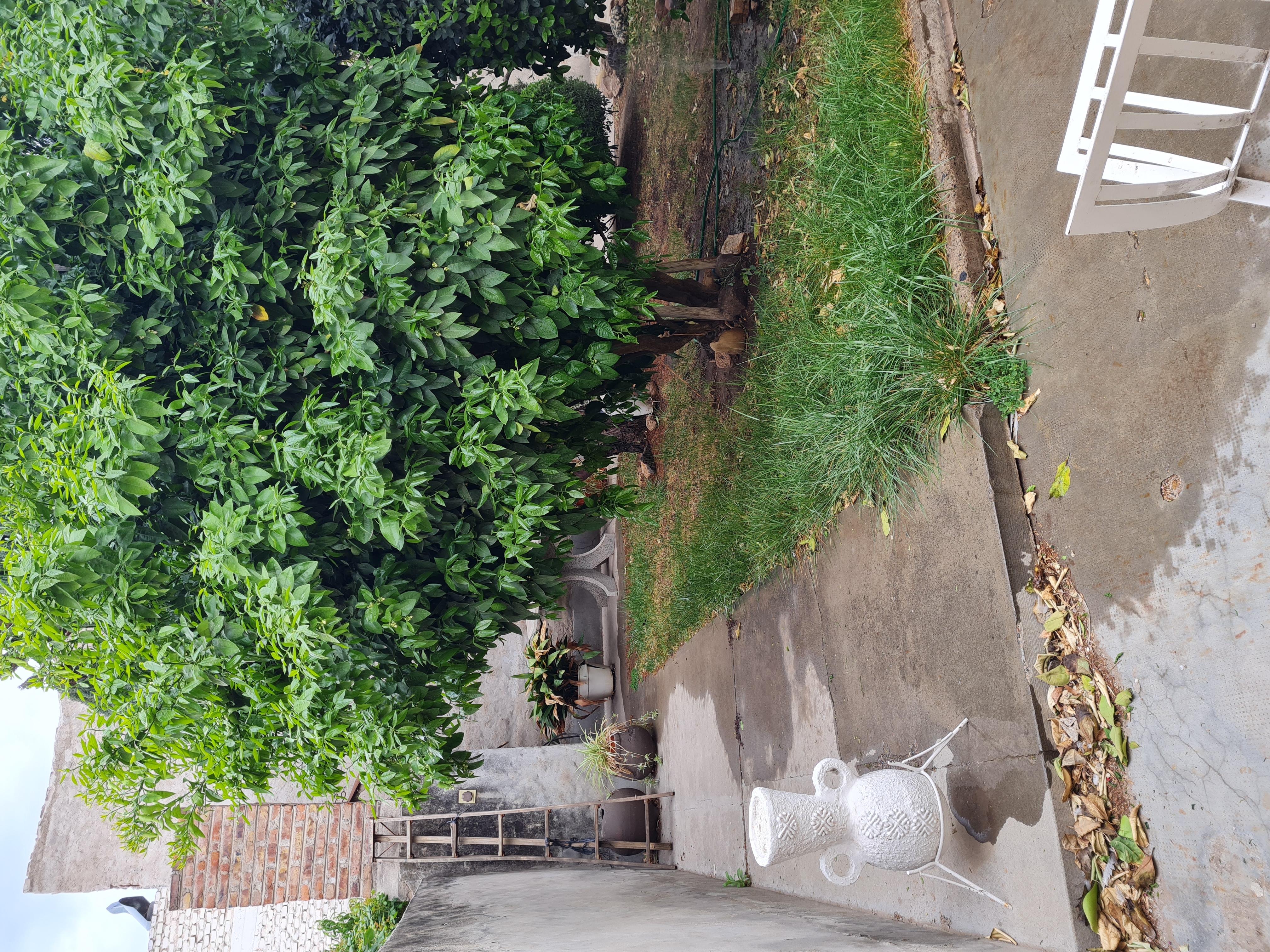 CASA CENTRICA A LA VENTA