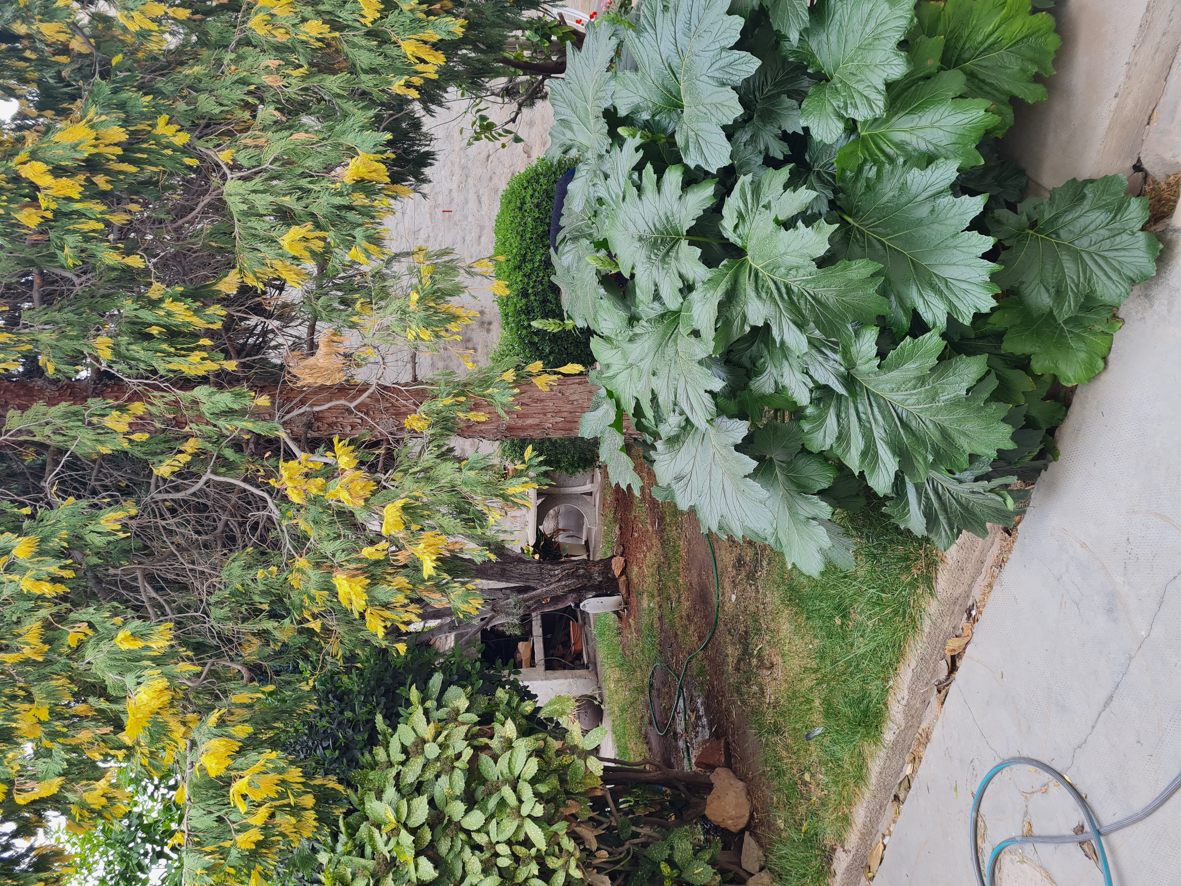 CASA CENTRICA A LA VENTA