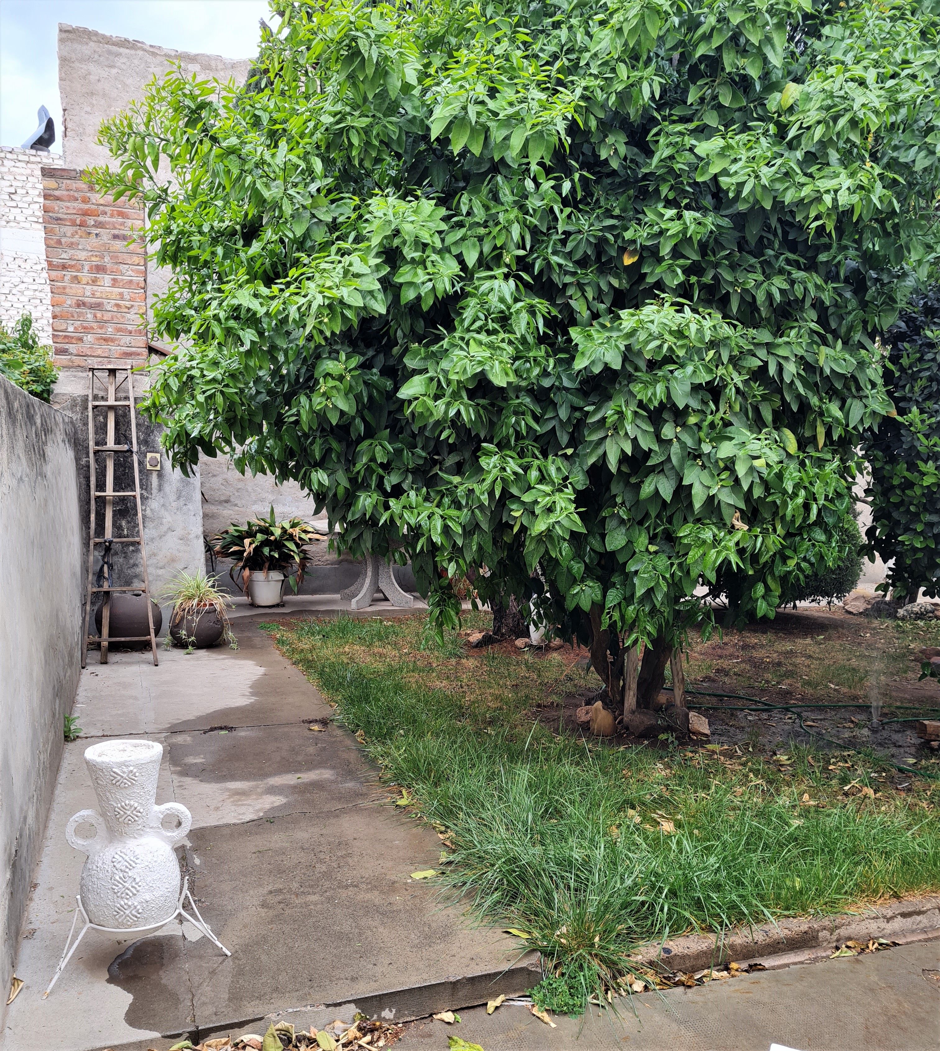 CASA CENTRICA A LA VENTA