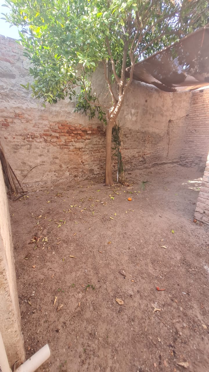 CASA CENTRICA + DEPTO